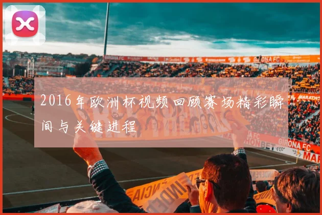 2016年欧洲杯视频回顾赛场精彩瞬间与关键进程