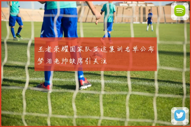 王者荣耀国家队亚运集训名单公布梦泪老帅缺席引关注
