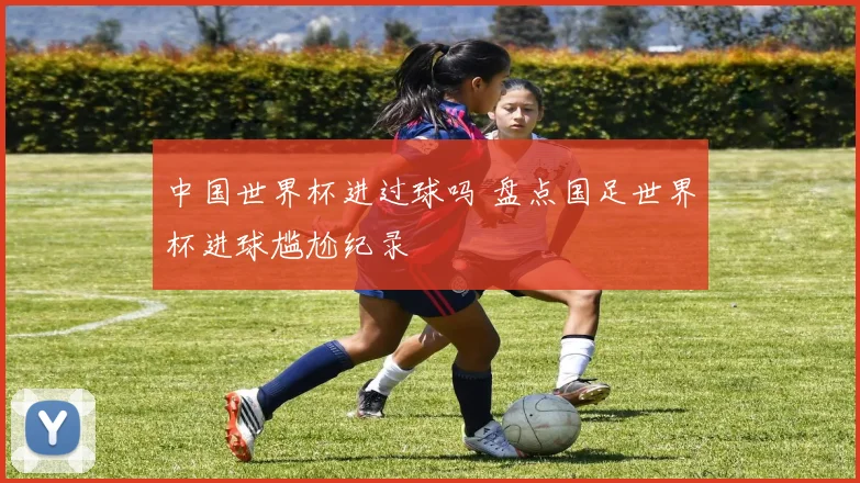 中国世界杯进过球吗 盘点国足世界杯进球尴尬纪录