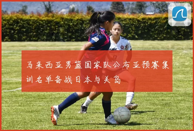 马来西亚男篮国家队公布亚预赛集训名单备战日本与关岛