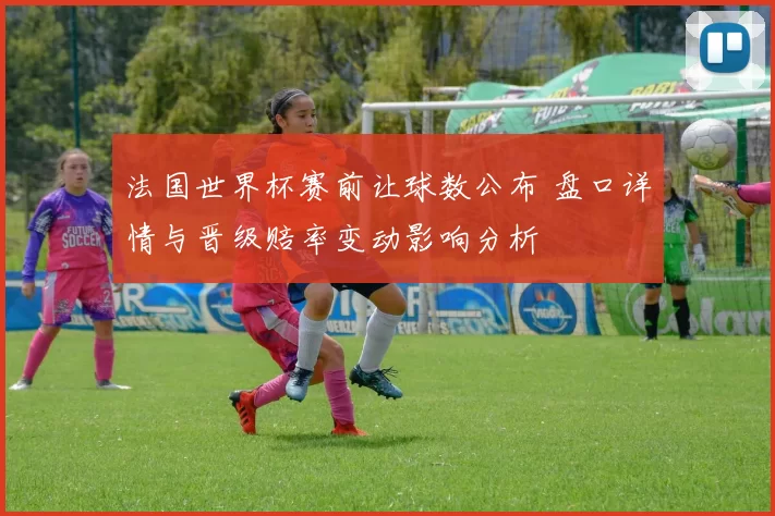法国世界杯赛前让球数公布 盘口详情与晋级赔率变动影响分析